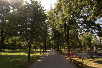 Main alley, a paved path, of the Gradski park, also called city park, in Pancevo, serbia, surrounded by high trees and benches. It is a typical public park of Europe...