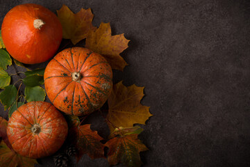 Autumn composition with colorful fresh pumpkins and autumn leaves, thanksgiving day, top view