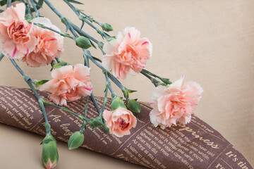 Beautiful fresh blooming orange color tender carnations isolated.