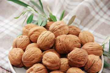 hard brown walnut fruit in shell