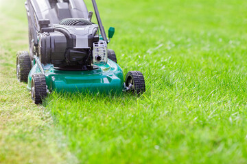Mowing or cutting the long grass with a green lawn mower