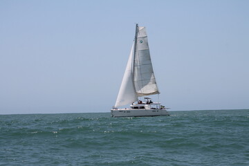 sailboat on the sea