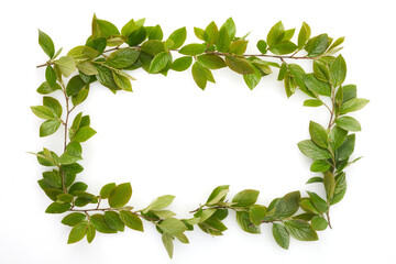 Green leaves frame isolated on white background