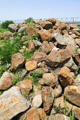 初夏の江戸川河川敷に積まれた石
