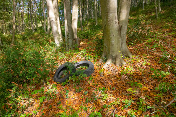 Used tires in the forest