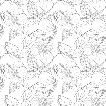 Hibiscus flower seamless pattern. Hand drawn sketch style. Line art. Mallow Chinese Rose. Herbal tea. Hawaii. Tropical background for paper, textile, wrapping and wallpaper. © elenavic