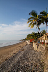 beach with trees