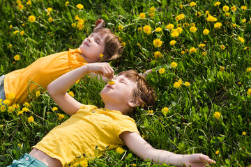two kids  lie in a green meadow with dandelions during the summer day.