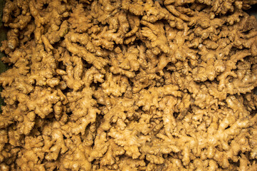 gingers forming texture pattern background
