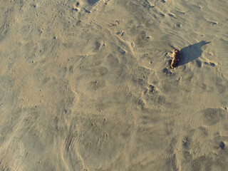 Sand texture of Beach ground