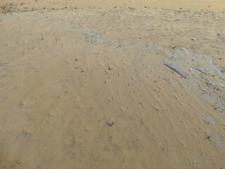 Sand texture of Beach ground