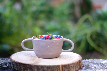 Bowl with blueberries and strawberries, served in a garden. Selective focus.