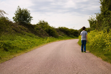Obraz premium Boy walking up the rural empty road with foliage on the sides, dramatic sky landscape
