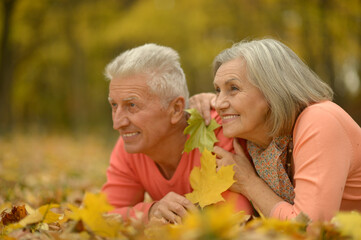  beautiful senior couple relaxing  in park