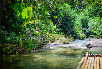 Bamboo raft on a tropical river