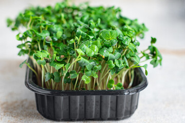 Naklejka premium microgreens container veggie salad raw eating mustard herbs basil fresh radish vegan cooking snack copy space food background rustic. top view vegetarian food
