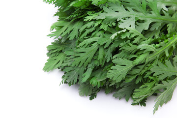 日本の食材、春菊