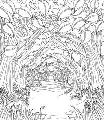 Woodland Forest Trees Path Coloring Book Scene