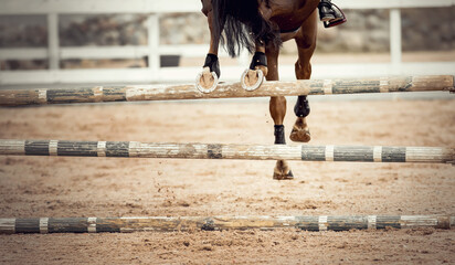 The horse overcomes an obstacle. Equestrian sport, jumping. Overcome obstacles.