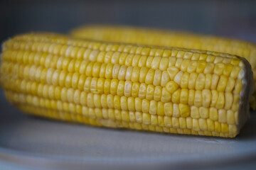 close up of corn