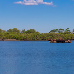 rusted wreckage of a ship in a mangrove area on Parramatta river NSW Australia