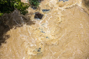 Top view Wild water flows violently through the rocks and shrubs.