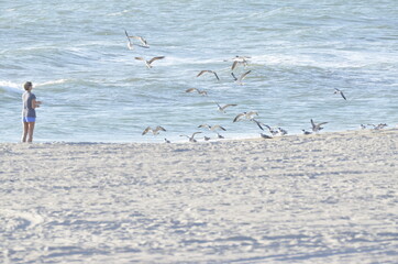 Oceans, Lakes, Rivers, Beaches