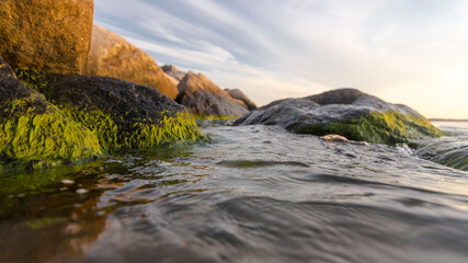 Watery Scenes