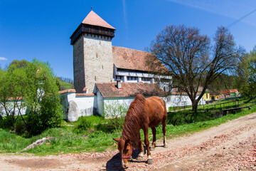 Old church in Romania