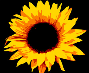 Sunflower vector