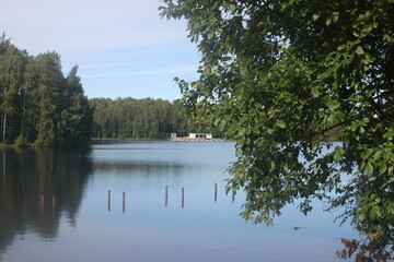 Fototapeta premium reflection of trees in the lake