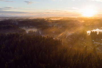 Evening sunset on the horizon above the forest, floating white fog. Top view