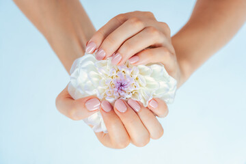 Female hands holding white flower