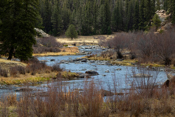 Beautiful South Platte Rvier