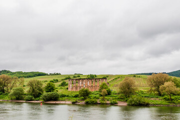 Fototapeta premium Ediger-Eller, Klosterruine Stuben, Bremm, Ruine, Moselschleife, Kloster, Augustinerkloster, Mosel, Fluss, Schifffahrt, Moselweinstrasse, Weinstrasse, Weinberge, Frühling, Deutschland
