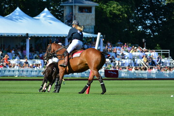 Newport Polo