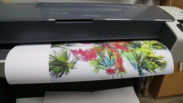 Printing and cropping a color photo of a palm tree with red fruits on a large plotter. Photo printing, house services to the public.