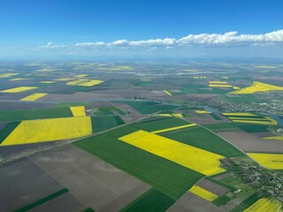 Rapeseed field Aerial View