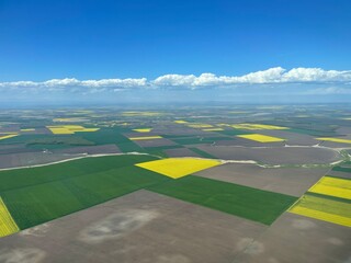 Rapeseed field Aerial View