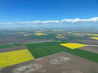 Rapeseed field Aerial View