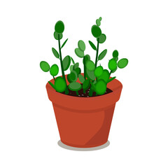 Houseplant in pot. Vector flat illustration of plant, flowerpot on a transparent background. Green home plant.