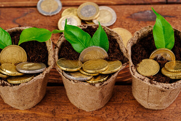 Coins stack of money and growing plant, financial concept