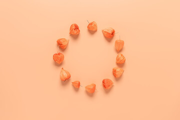 Round frame of physalis winter cherry on a pastel peach background. Beautiful floral composition. Top view, flat lay.