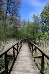 beautiful wooden path bridge in the spring forest in national park