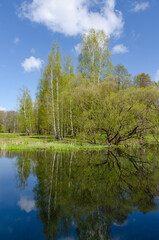 spring reflections