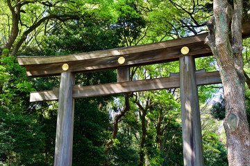The Japanese torii gate at Meiji shrine.