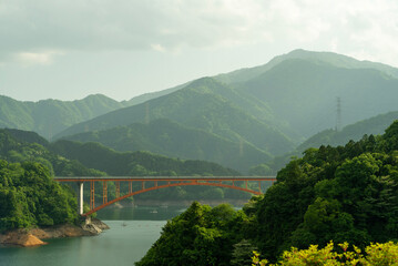 bridge over the river