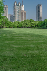 Lujiazui central park, green grass and modern skycrapers,  for background.