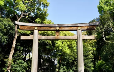 Fototapeten The torii gate with blue sky. © Takayan
