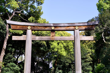 The wooden torii gate in Japan.